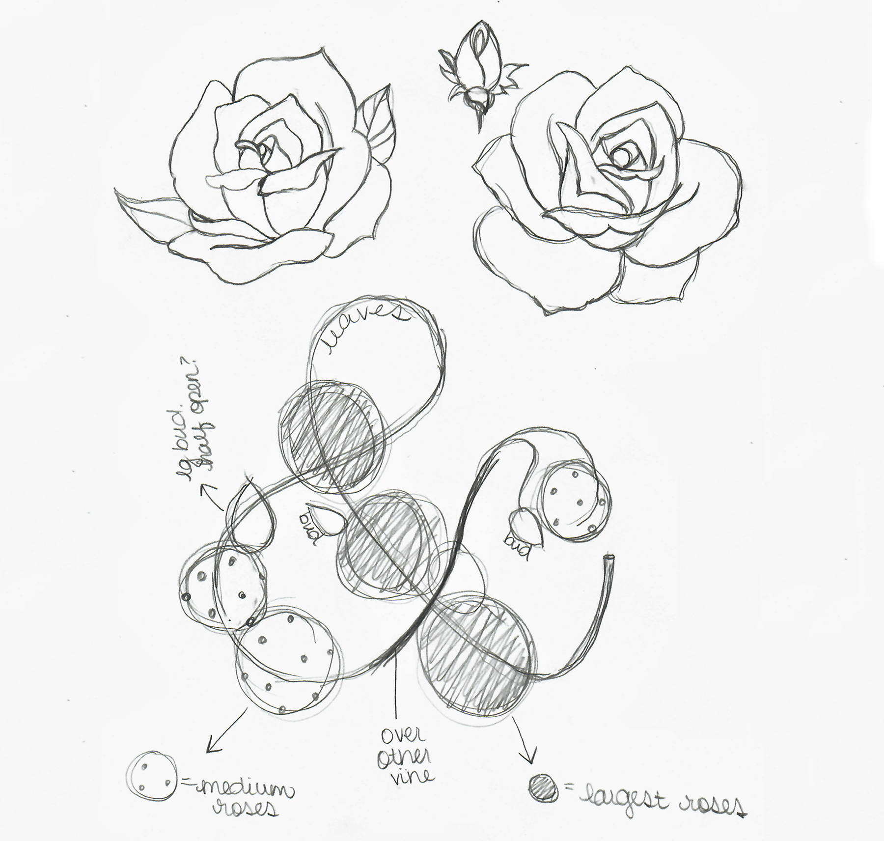 This is another sketch of the floral ampersand I created.